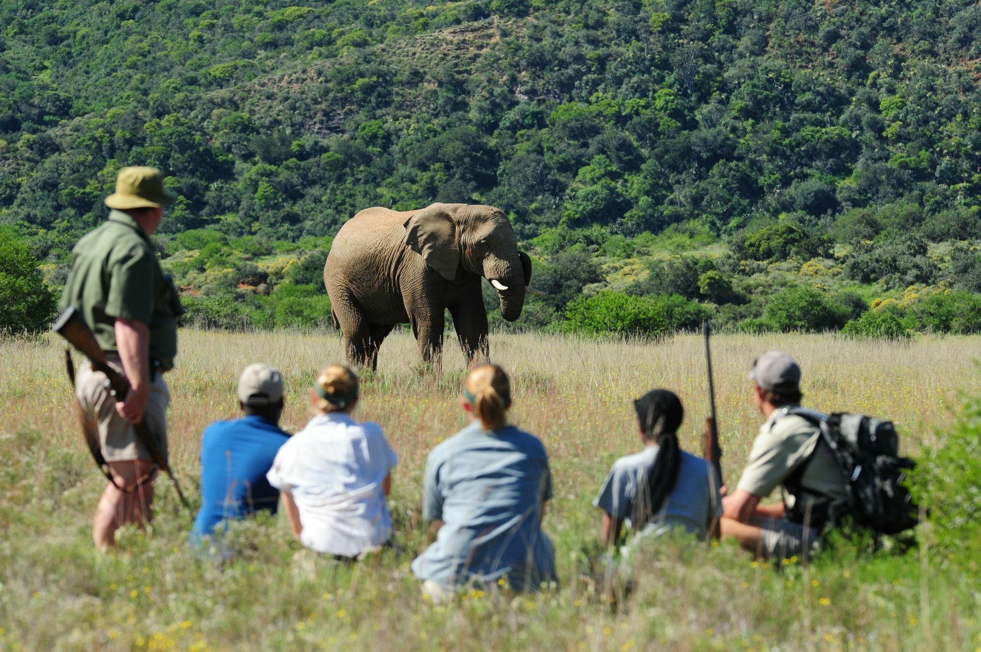 Shamwari Game Reserve Port Elizabeth Exteriör bild